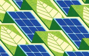 Bio-inspired Solar Energy illustration