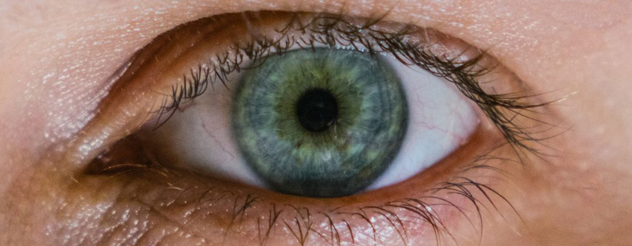 Understanding Consciousness In The Blink Of An Eye Cifar