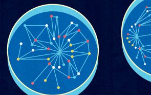 Genetic Networks illustration