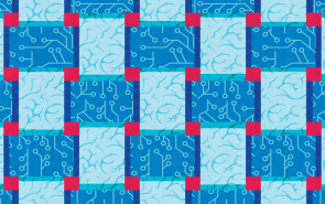 Learning in Machines & Brains illustration