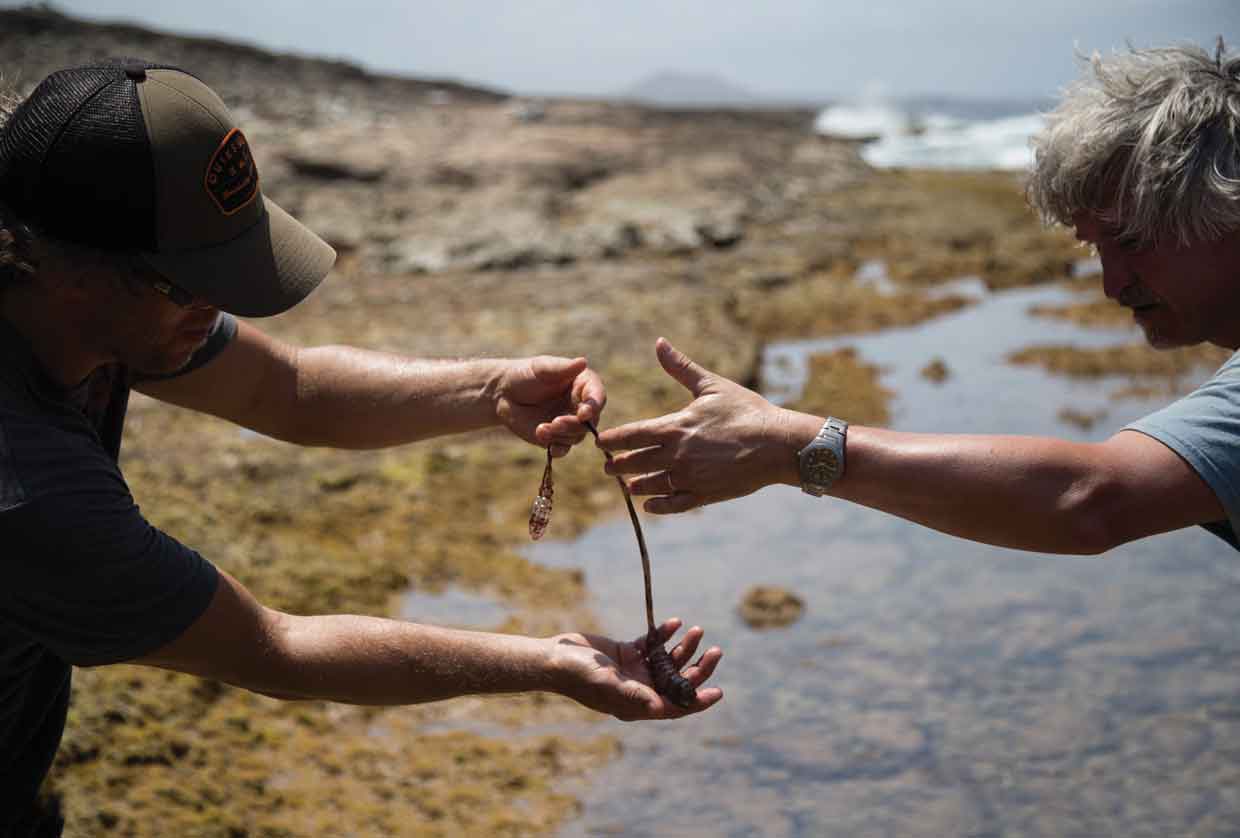 CIFAR fellows handle an invertebrate they collected during a research dive. Photo: Gordon Lax