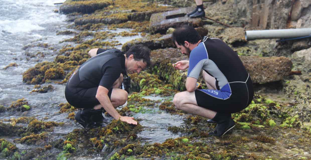 A student collects samples during a dive. Photo: Emma George