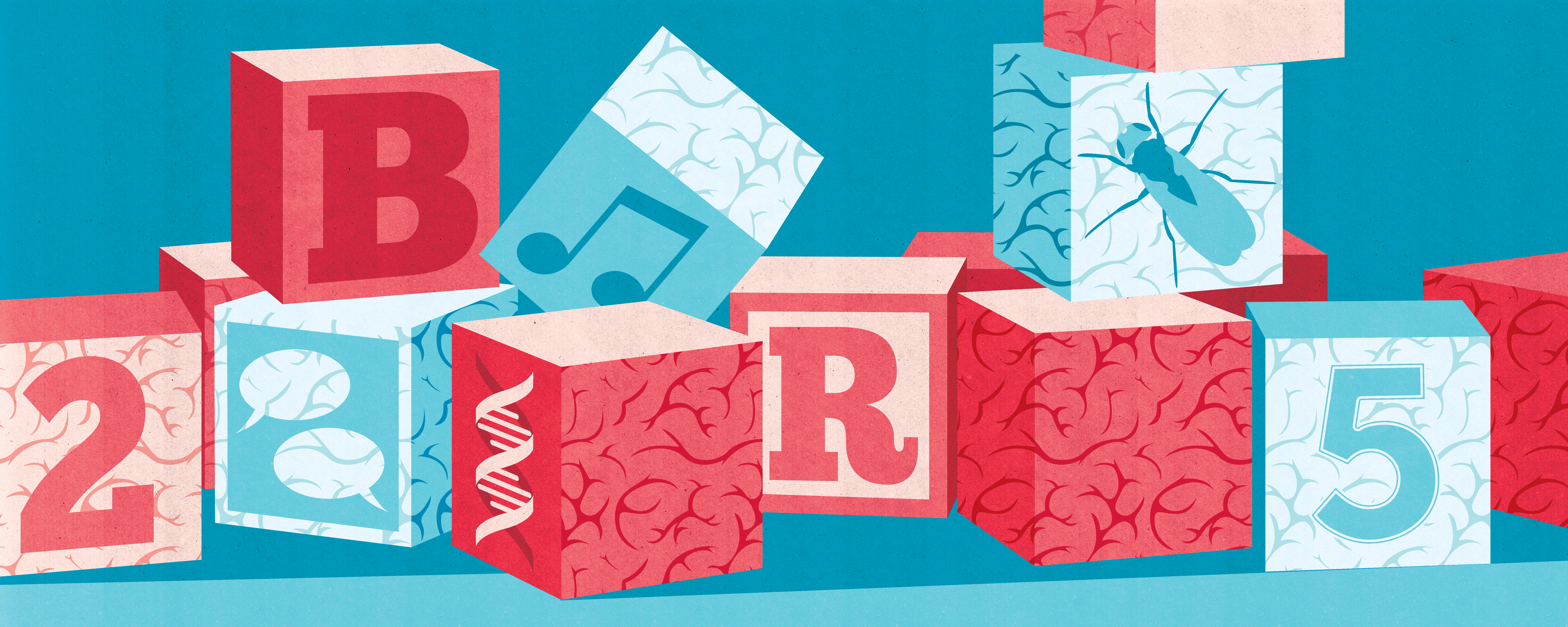 Child & Brain Development illustration