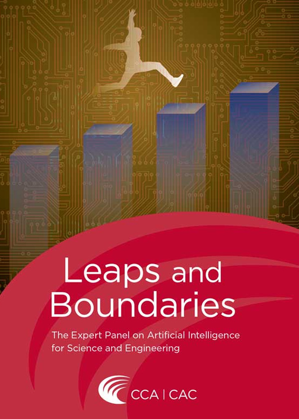 Leaps and Boundaries: The expert panel on artificial intelligence for science and engineering