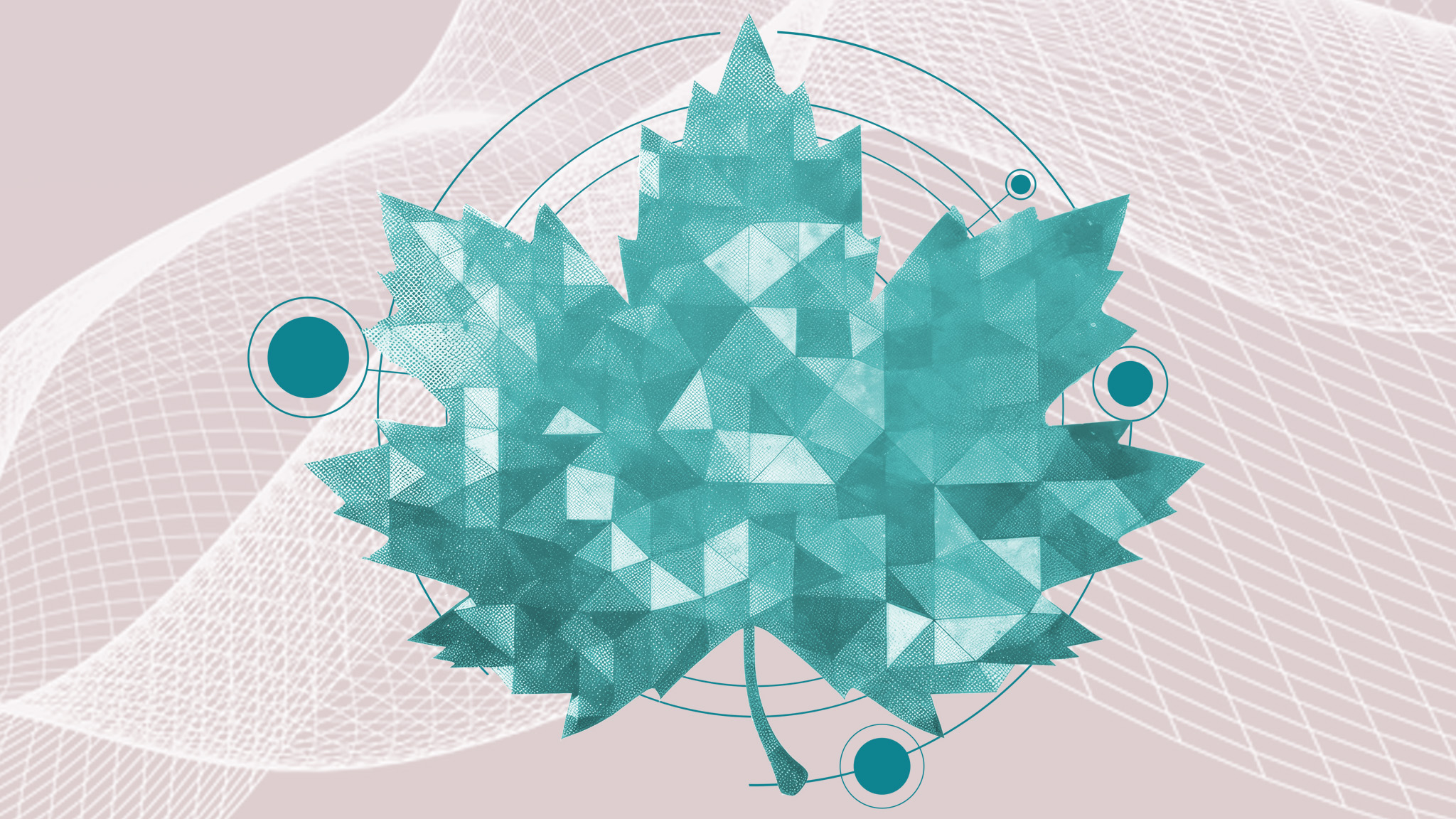 Graphic design of a textured maple leaf against network swirls