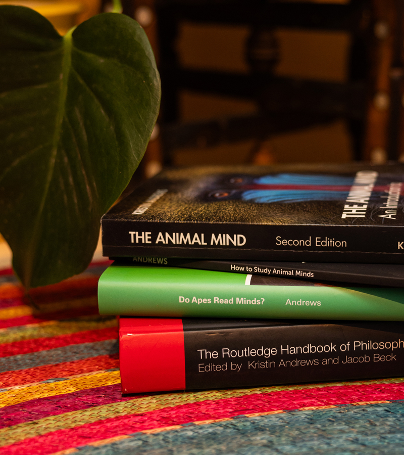 A photo of a stack of books written or edited by Kristin Andrews. The titles, from top to bottom are: The Animal Mind (Second Edition), Do Apes Read Minds? and The Routledge Handbook of Philosophy of Animal Minds. Photo d’une pile de livres écrits ou dirigés par Kristin Andrews. Les titres, de haut en bas, sont les suivants : The Animal Mind (deuxième édition), Do Apes Read Minds? et The Routledge Handbook of Philosophy of Animal Minds.