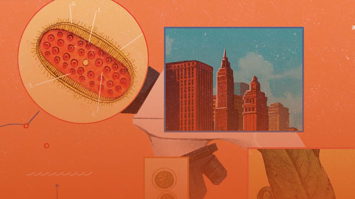 previews-reach-1200x675